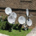 DIsh Network