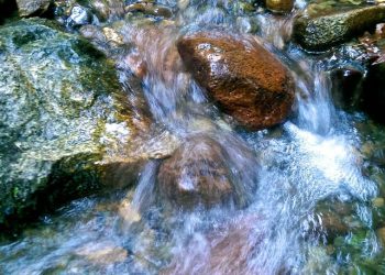 alkaline water