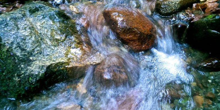 alkaline water
