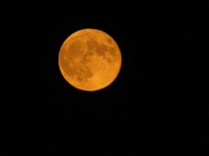 Full Corn Moon