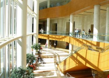 mayo clinic