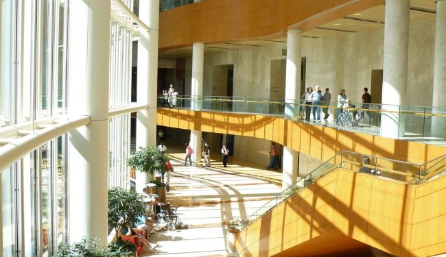 mayo clinic