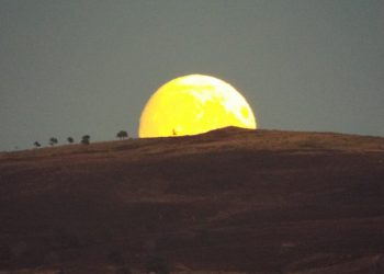 Beaver Moon