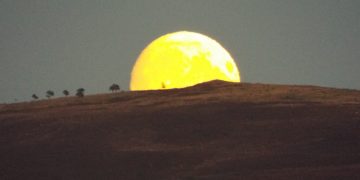 Beaver Moon