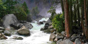 Negative Ions