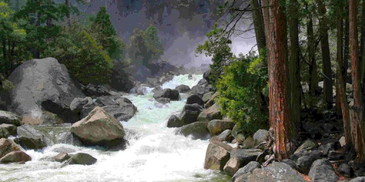 Negative Ions