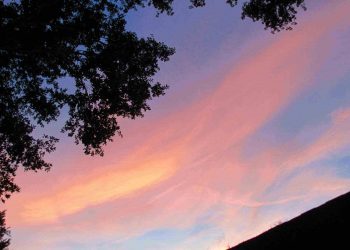 Oslin