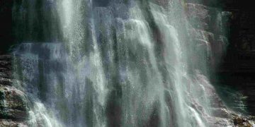 Negative Ions