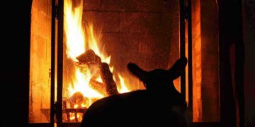 Warm