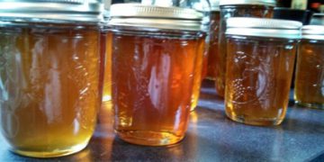 Honey