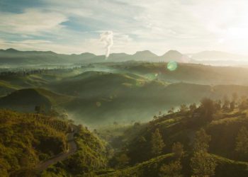 Earth Day