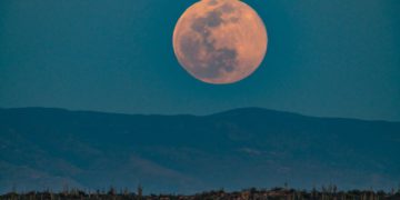 Sucker Moon