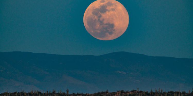 Sucker Moon