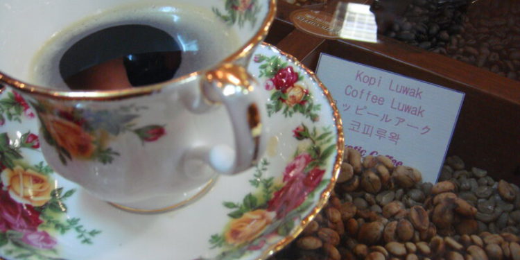 Coffee