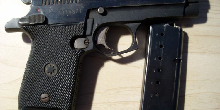 Gun