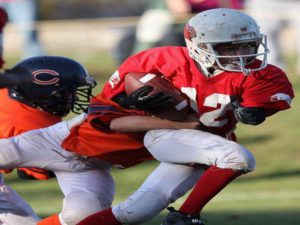 Bears 