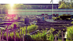 Gresham