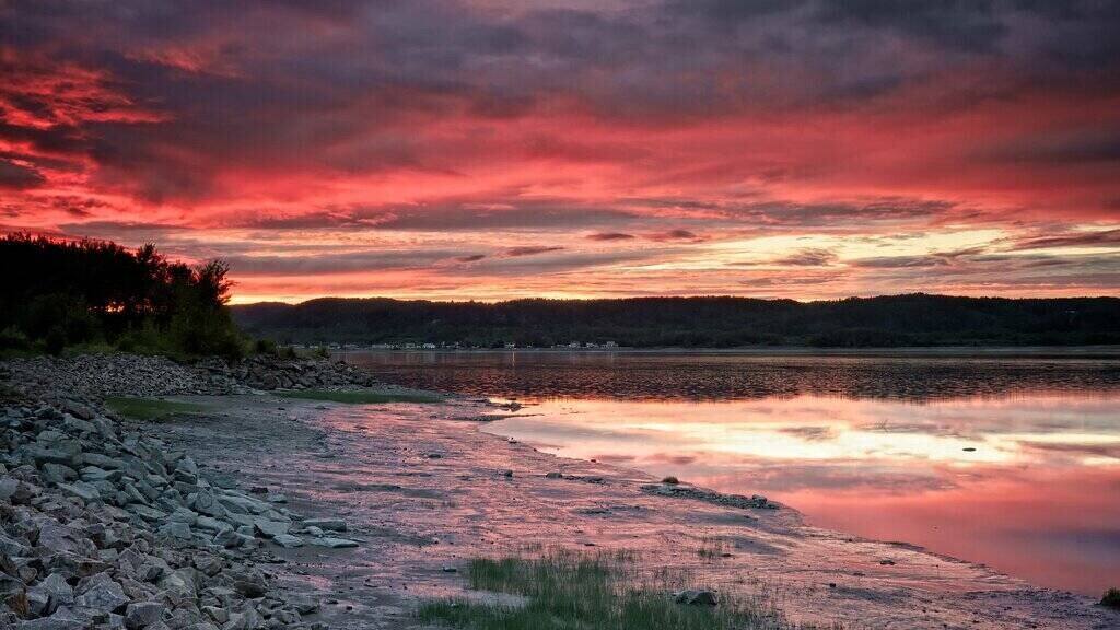 Comedic Actor Norm MacDonald Dies at Age 61[Video]