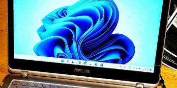 Windows 11