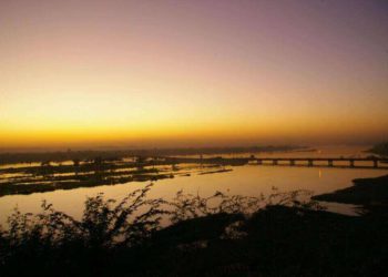 niger