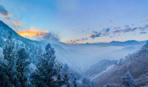Winter