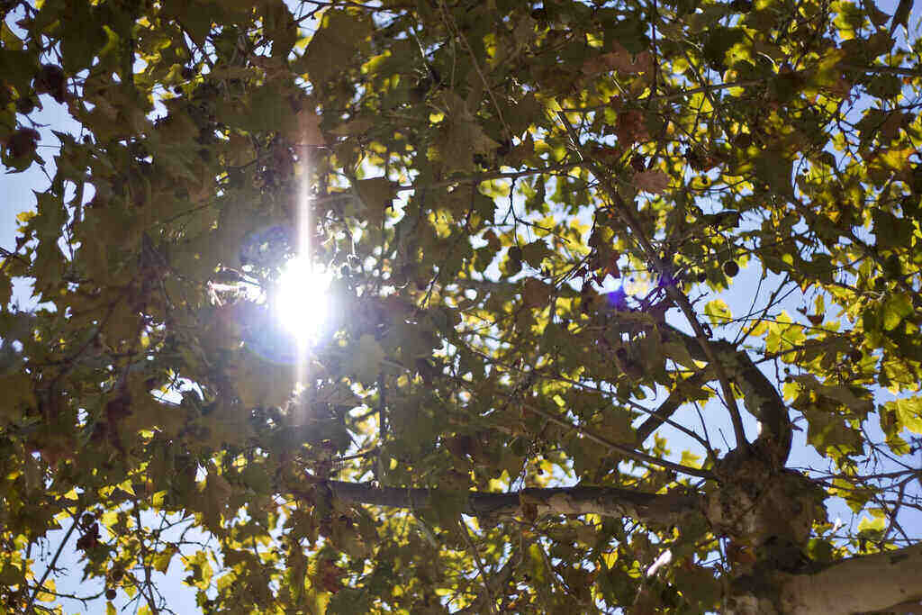 Super Bowl LVI, the Half-Time Show, and the Weather Super Bowl