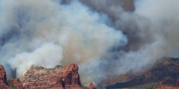 Wildfire