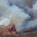 Wildfire