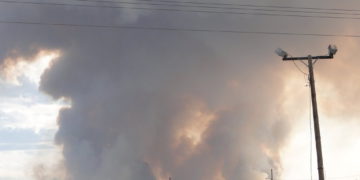 Wildfire