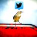 Twitter