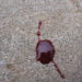 Blood test