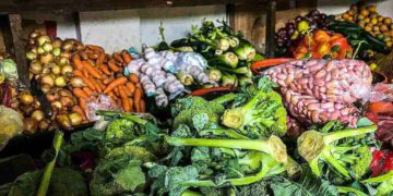 Vegetables
