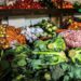 Vegetables