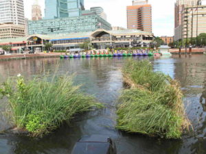 floating wetlands