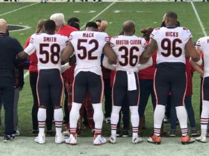 Bears