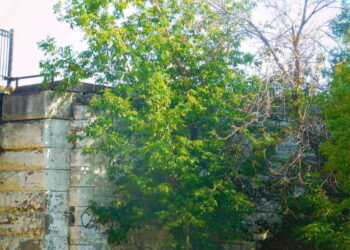 south side