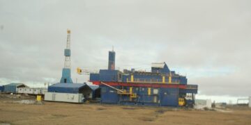 Oil