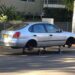 Auto Theft