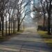 Riot Fest