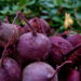 BEET Chicago