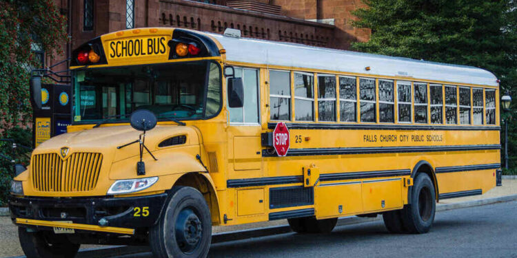 Bus