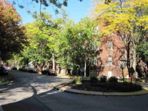 Nascar Coming to Chicago Nascar