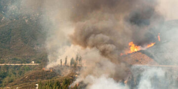 wildfires