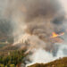 wildfires
