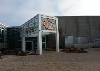 Bears