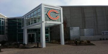 Bears