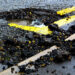 Potholes