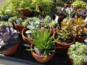 Mail It Half-Way There Mail