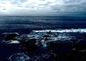 ocean, scientist