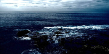 ocean, scientist